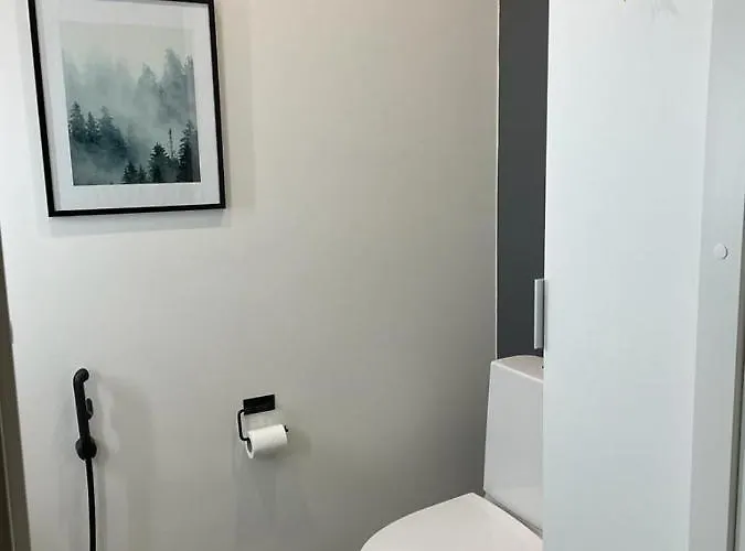 Helmetaer Ροβανιέμι