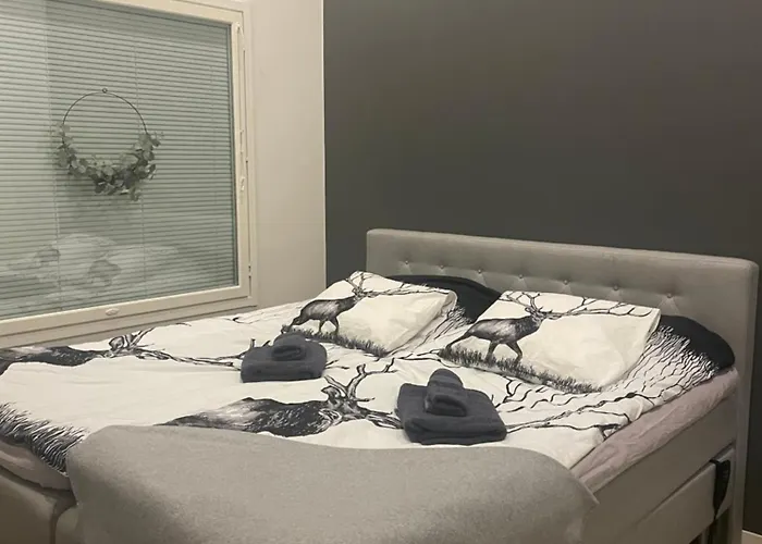 Helmetaer * Ροβανιέμι